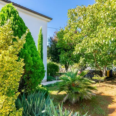 Apartman Vesna Pinezići