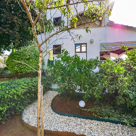 Lejlighed Vesna Pinezići